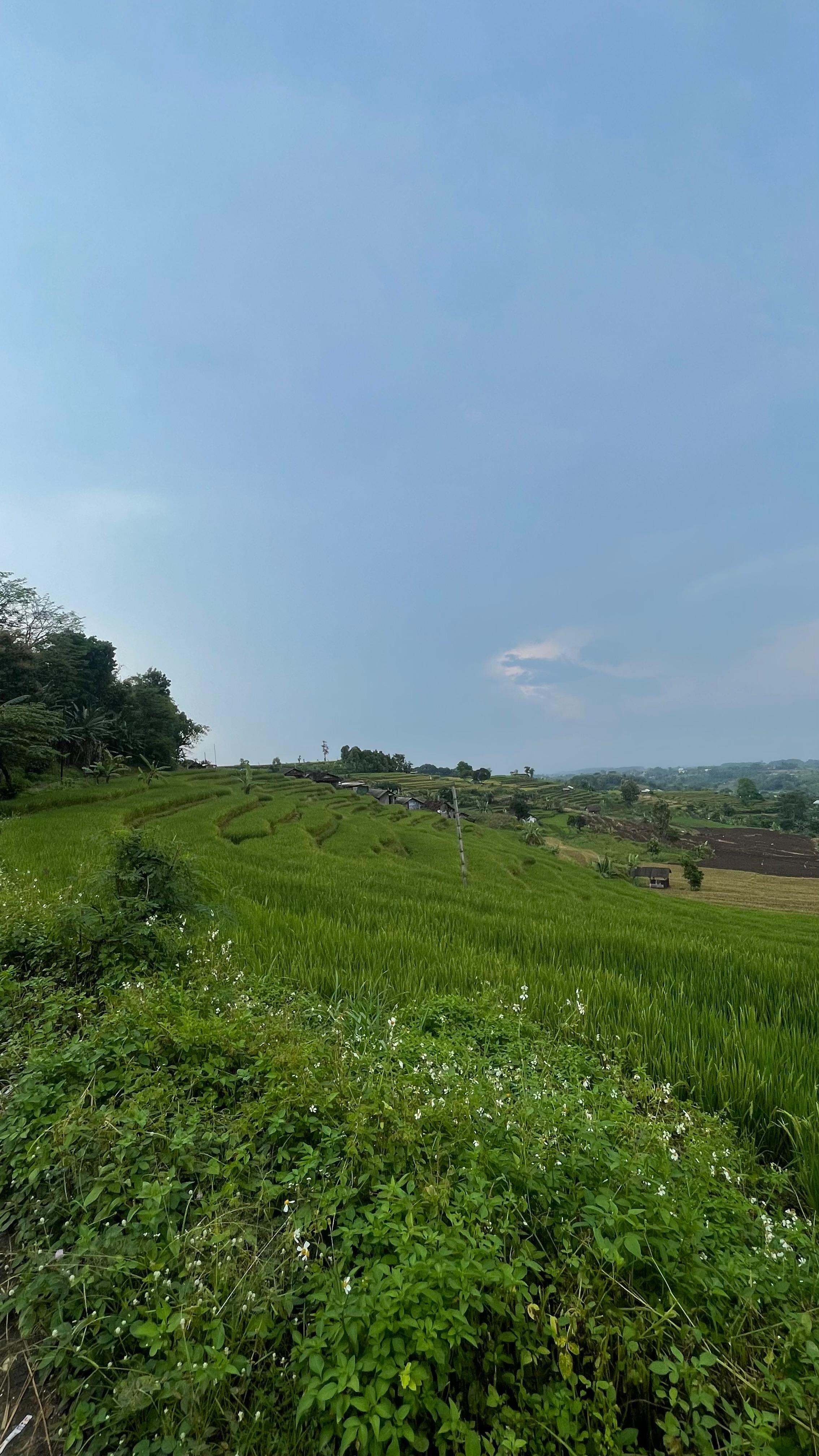 Keindahan alam Mrasih