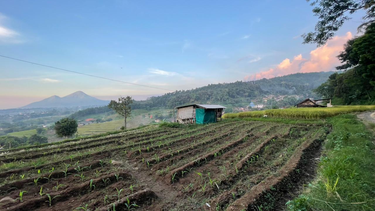 Foto Mrasih