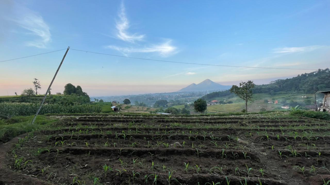 Foto Mrasih