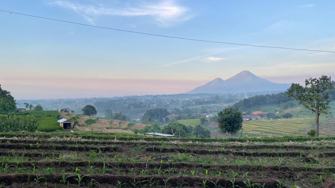Foto Mrasih