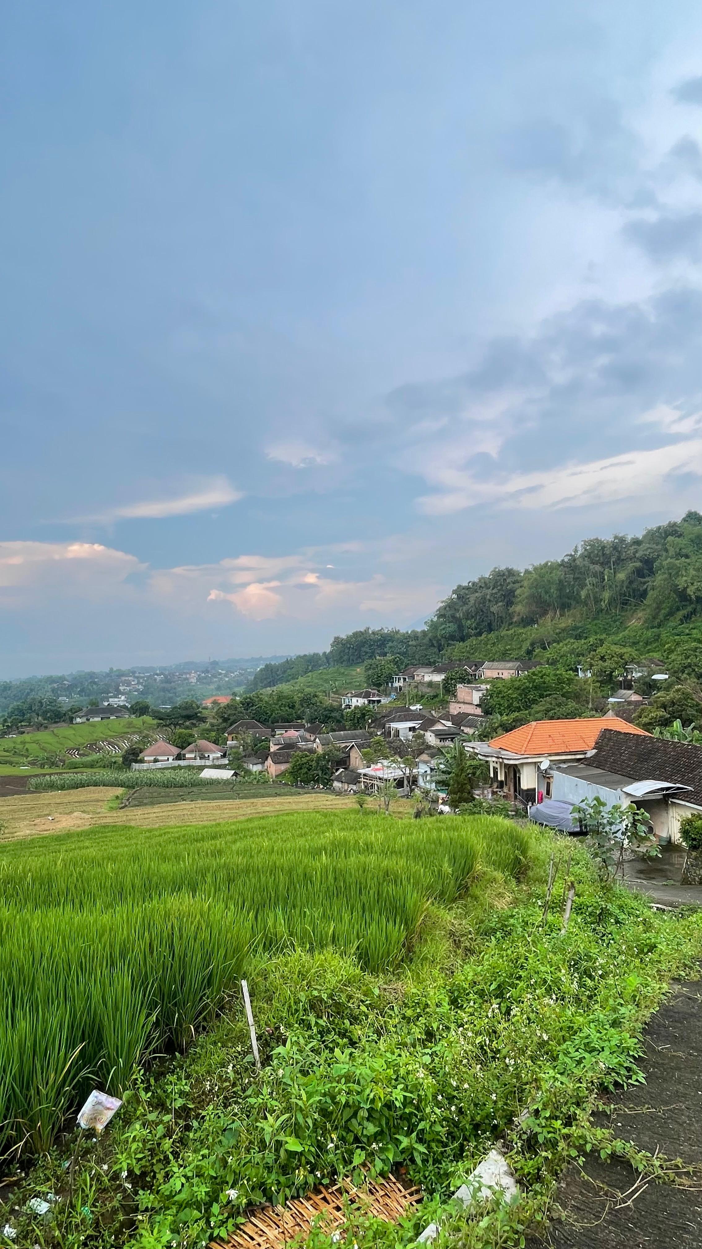 Pemandangan pagi Mrasih