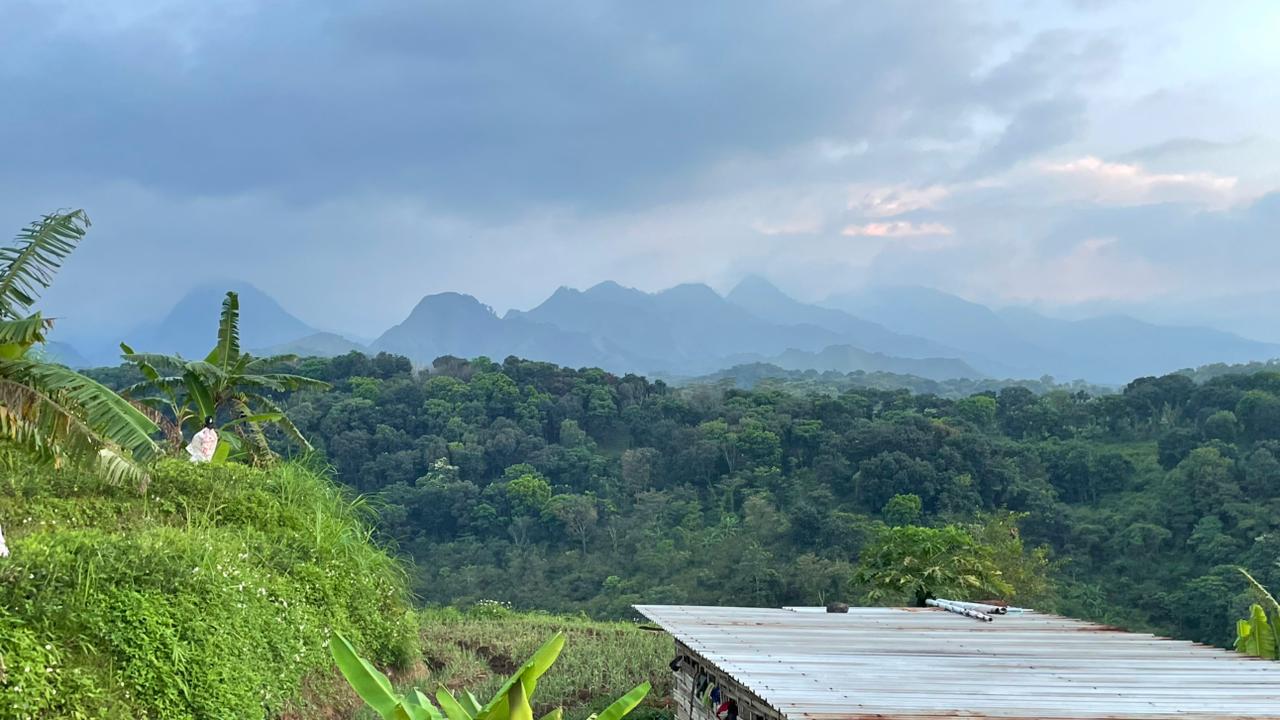 Sungai pegunungan Mrasih
